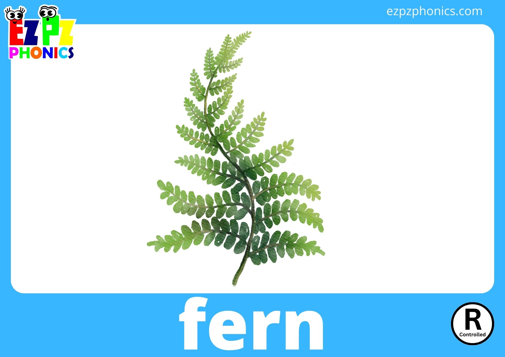 er R-Controlled One Syllable Words Phonics Flashcards with Images and Words Free Printable PDF or View Online For Homeschool Parents and Teachers to Teach Kindergarten and Preschool Children